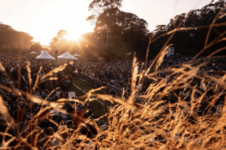 hardly strictly